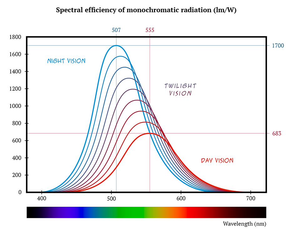 The graph shows the sensitivity of vision under different light conditions.